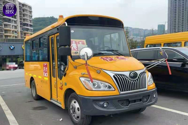 2021年ZK6535DX5国五幼儿校车
