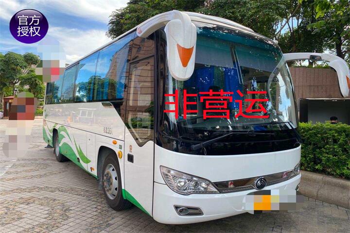 2019年宇通ZK6876H5国五柴油非营运精品车